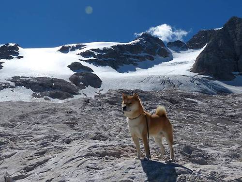 奇才逆转神话,武切维奇只手打碎篮网三巨头王朝梦